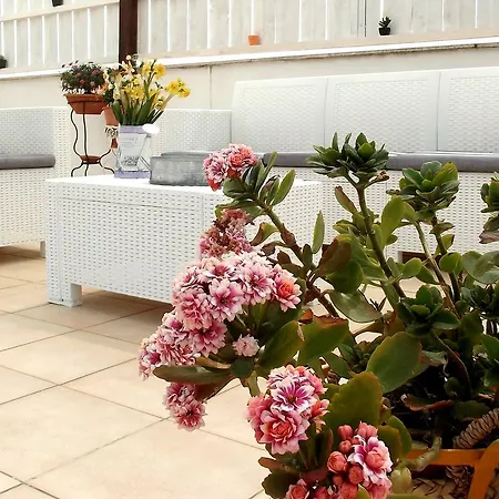 La Terrazza Di Bed & Breakfast 2*